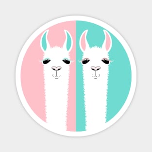 TWO ON PINK AND BLUE Magnet